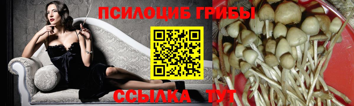 Рязань  Галлюциногенные грибы Psilocybe  Вход с VPN 